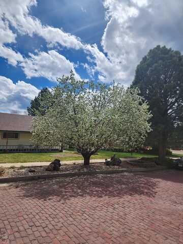 718 E Second St, Trinidad, CO 81082