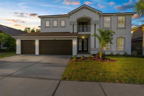 17917 MACHAIR LANE, LAND O LAKES, FL 34638