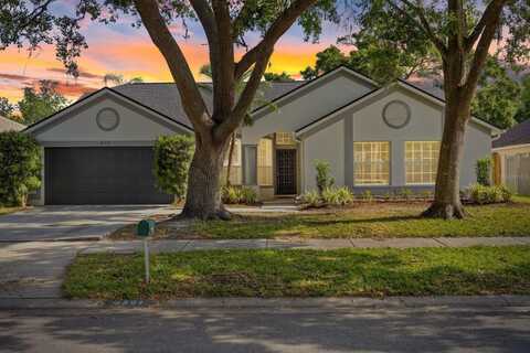 6501 APPALOOSA DRIVE, TAMPA, FL 33625