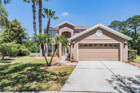 19139 CYPRESS REACH LANE, TAMPA, FL 33647