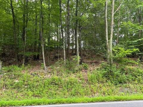 Farber Cir 31, Tannersville, PA 18372