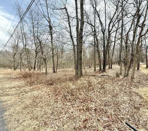 EV1234 Chapman Circle, Albrightsville, PA 18210