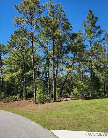 2747 W Gaspar Drive, Dunnellon, FL 34433
