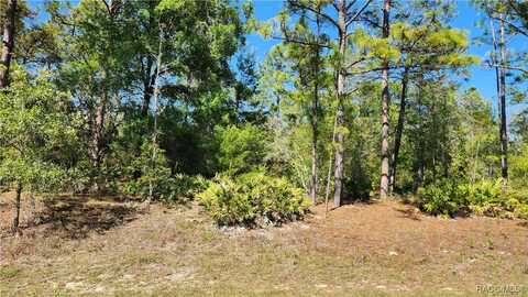 2747 W Gaspar Drive, Dunnellon, FL 34433