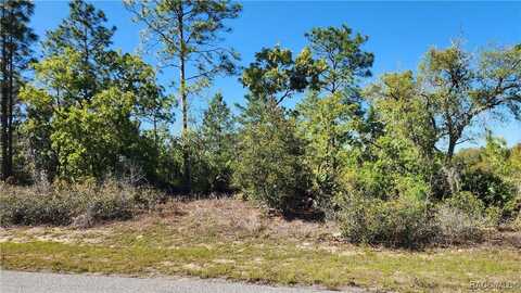 6204 N Hobson Terrace, Dunnellon, FL 34433