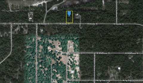 12151 W Deodar Street, Crystal River, FL 34428