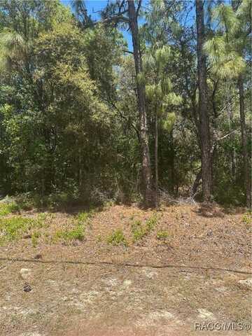 557 W Anderson Lane, Citrus Springs, FL 34434
