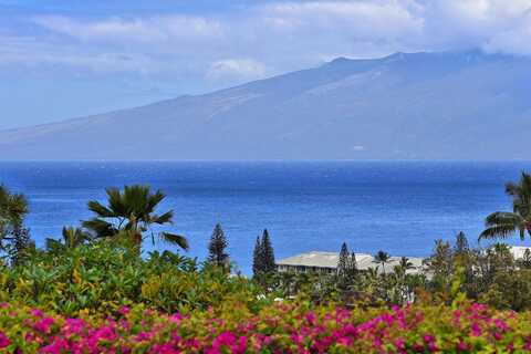 50 PUU ANOANO St, Lahaina, HI 96761