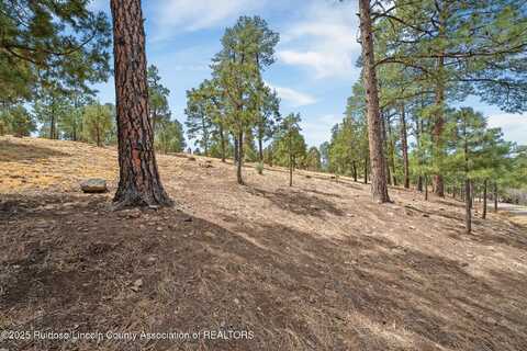 Lot 19 Twin Tree Loop, Alto, NM 88312