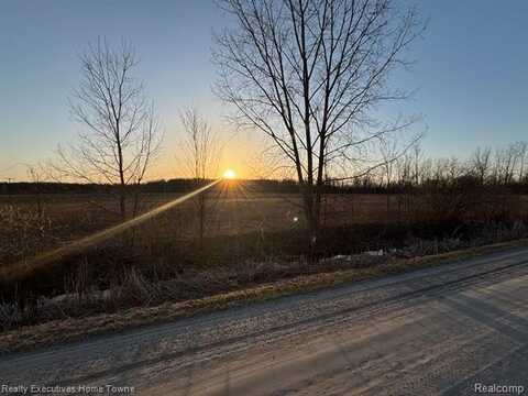 0000 Cribbins, Avoca, MI 48006