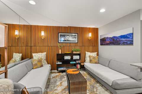 711 S Galena Street, Aspen, CO 81611