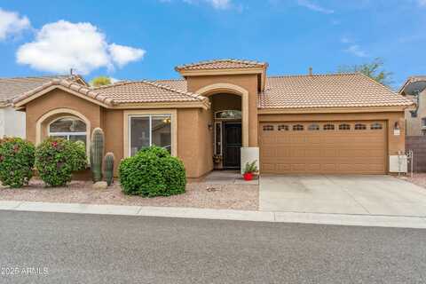 6713 E RIVERDALE Street, Mesa, AZ 85215