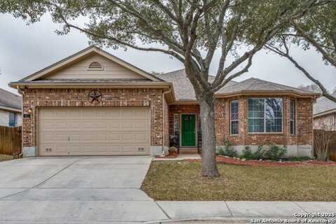 821 Walzem Mission, New Braunfels, TX 78132