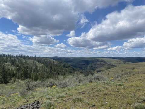 27220 E Underwood Canyon Rd, Creston, WA 99117