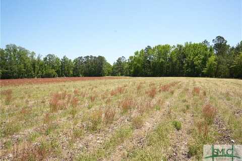 0 Clifton Road, Statesboro, GA 30458