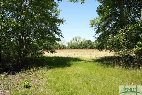 0 Clifton Road, Statesboro, GA 30458