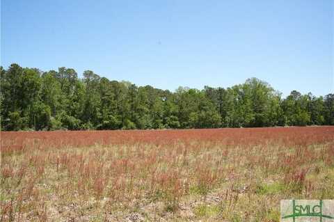 0 Clifton Road, Statesboro, GA 30458