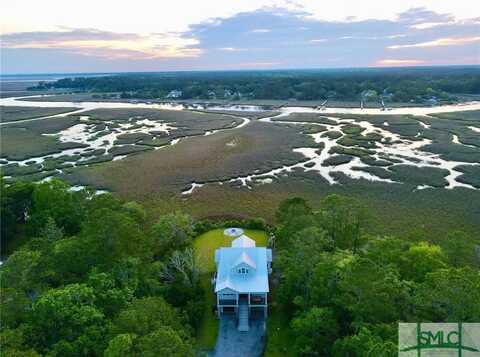 1018 Sweet Hill Road, Richmond Hill, GA 31324