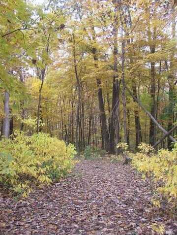 97ac Fritz Road, Verona, WI 53593