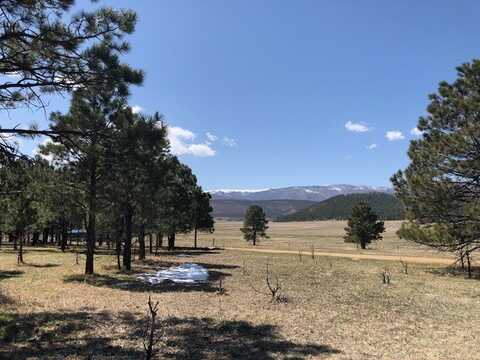 Lot 65 Patron Road, Rociada, NM 87742