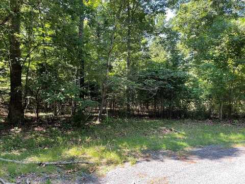 62 SIGNAL CT, GREENBACKVILLE, VA undefined