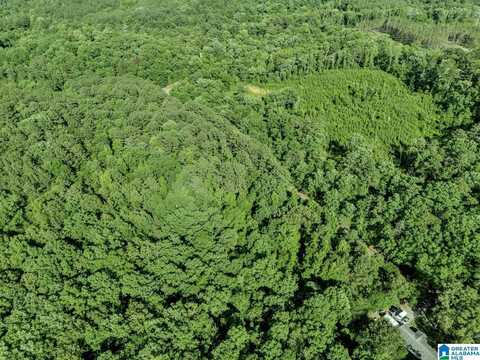 0 GLENNWOOD ROAD, MORRIS, AL 35116