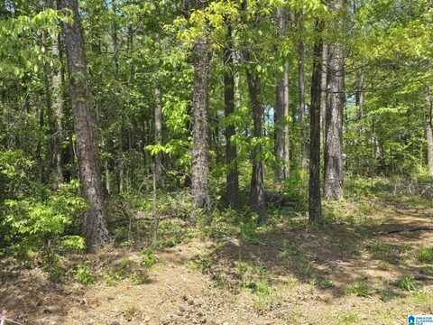 20872 CHRISTINA DRIVE, Mc Calla, AL 35111