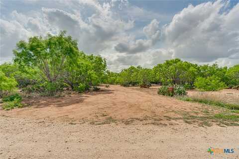 551 Pr Mia Lane, Floresville, TX 78114