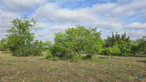 Lot 121 Pitchfork Ranch Road, Copperas Cove, TX 76522