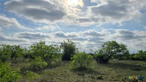 Lot 120 Pitchfork Ranch Road, Copperas Cove, TX 76522