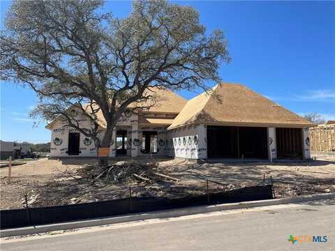 1331 Shirley Faye Lane, Salado, TX 76571
