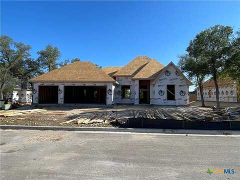 1313 Shirley Faye Lane, Salado, TX 76571