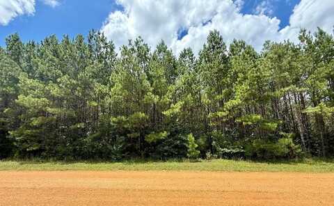 2316 Traci Loop, Bogue Chitto, MS 39629