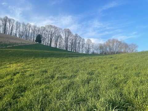 Tbd Call Valley Road, Swords Creek, VA 24649