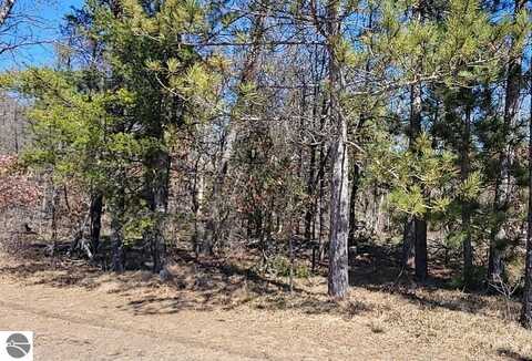 Site 8 Lumberjack Court, Grayling, MI 49738