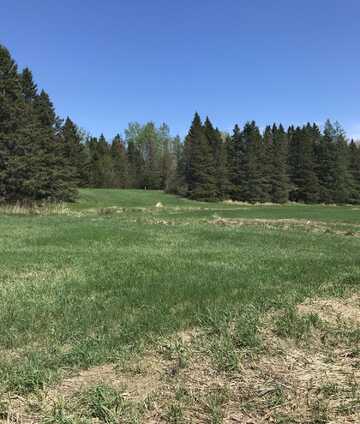 TBD E SAND RIDGE RD, GOETZVILLE, MI 49736