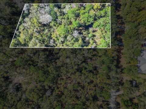 Parramore Shores Road Lot 5, Tallahassee, FL 32310