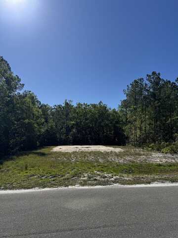 Old Palmetto Path, Saint Marks, FL 32355