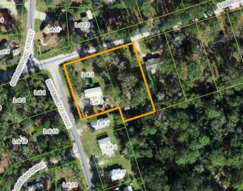 7 Dispennette Drive, Crawfordville, FL 32327