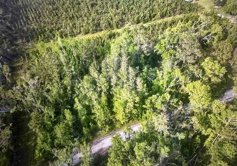 NE Rue Drive, Pinetta, FL 32350