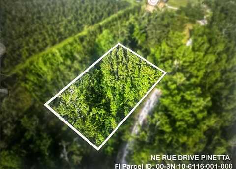 NE Rue Drive, Pinetta, FL 32350
