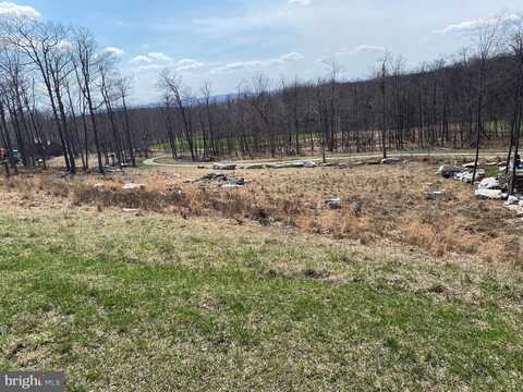 TBD BILTMORE RIDGE TRAIL, MC HENRY, MD 21541