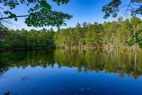 00 Sawmill Road, Ridgeway, SC 29130