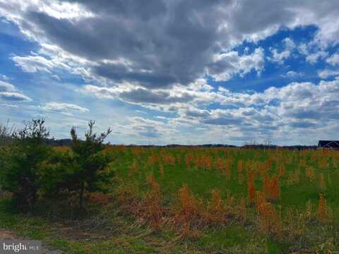 19 SLEEPY MEADOWS TRAIL, AUGUSTA, WV 26704