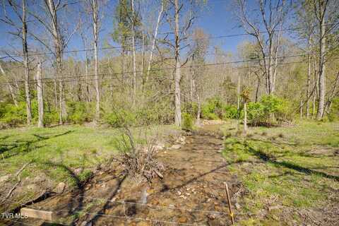 Morrell Creek Lane, Bluff City, TN 37618