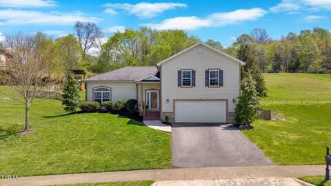55 Azalea Ridge, Johnson City, TN 37601