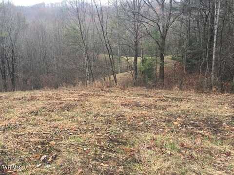 00 Heaton Branch Road, Butler, TN 37640