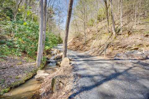 0000 Ray Kegley Road, Erwin, TN 37650