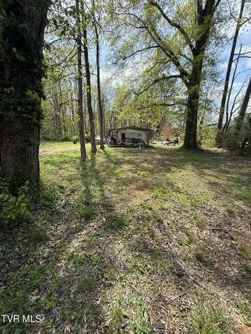 116 Tranbarger Road, Mount Carmel, TN 37645