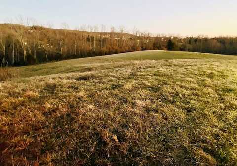 4.374 AC Neal Street, COOKEVILLE, TN 38501